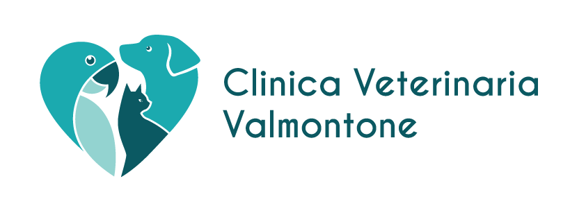 Clinica Veterinaria Valmontone